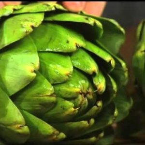 All About Artichokes
