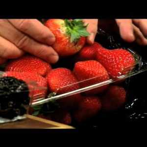 Picking out the Best Berries