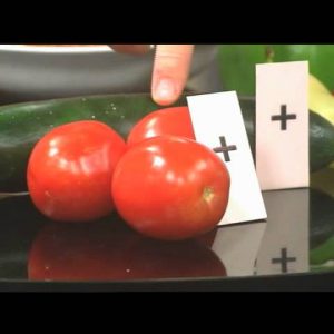 Quick Meals Made with Non-Starchy Vegetables