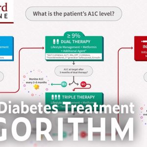 The ADA Type 2 Diabetes Management Algorithm
