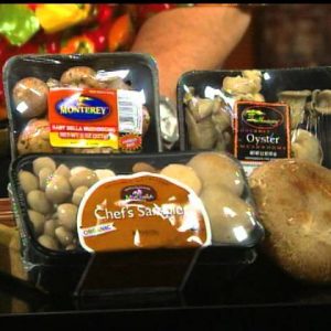 The Many Types of Mushrooms
