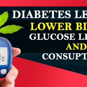 This Leaves for Diabetes Insulin - Lower Blood Glucose Levels and Consumption