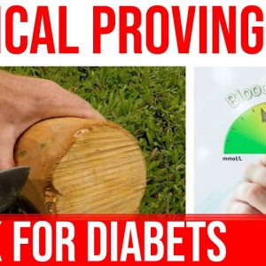 Clinically Proven That - Bark For Diabetes | Natural Ingredient Cure Diabetes