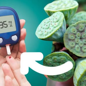 You Believe It Or Not - It's CURE DIABETES | Fantastic Benefits of Lotus Seeds for Overall Health