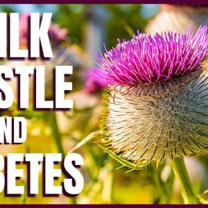 Milk Thistle and Diabetes