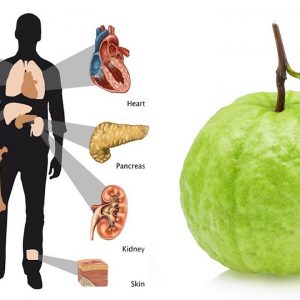 This Will Happen Your Body To eat Once In a Week - Benefits of Guava | Dr. Goutham Kumar