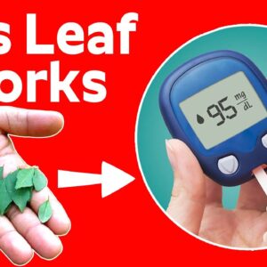 Cure Diabetes - This Leaf Works Exceptionally Well To Cure Diabetes | Free Diabetes