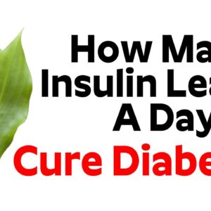 How Many Insulin Leaves A Day To Cure Diabetes | Dr. SGV Satya
