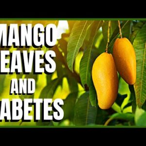 Mango Leaves and Diabetes