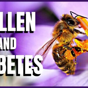 Pollen and Diabetes