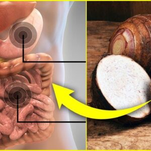 Great Food For Improve Your Digestive System | Health Benefits Of Taro Roots - Dr. CL Venkata Rao