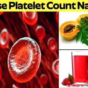 Amazing Foods To Increase Blood Platelets Naturally || Dr. CL Venkat Rao