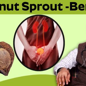 Health Benefits of Coconut Sprout || Dr. CL Venkat Rao