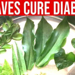 Take 3 Leaves in the Morning to Treat Diabetes and Hypertension