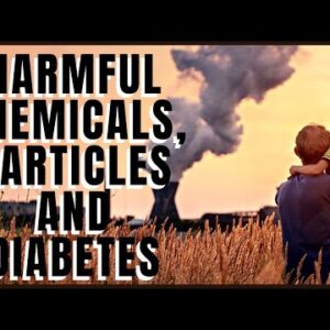 Can These Harmful Chemicals and Particles Cause Diabetes?