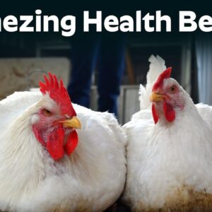 What is The Benefit of Broiler Chicken.? - 10 Impressive Benefits of Chicken | Dr. CL Venkata Rao
