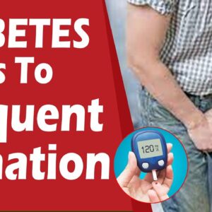 Diabetes Leads To Frequent Urination | DR C L Venkat Rao | FREE DIABETES