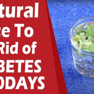 NATURAL JUICE  TO GET RID OF DIABETES IN 10 DAYS | FREE DIABETES