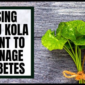 Using Gotu Kola Plant To Manage Diabetes