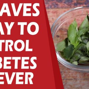 3 Leaves A Day  To Control Diabetes | Best Diabetes Foods | Health Tips | Free Diabetes