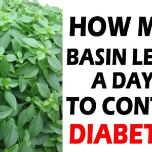 How Many Basin Leaves To Control Diabetes | Best Health Tips | Free Diabetes