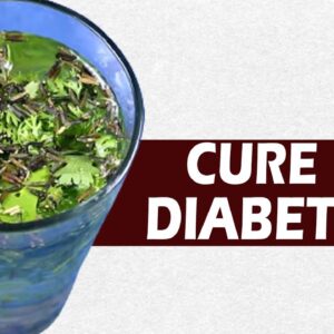 Home Remedies To Control Diabetes | Best Diabetes Tips | Health Tips | Free Diabetes