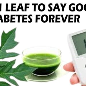 Only One Leaf To Say Good Bye Diabetes Forever | Best Diabetes Tips | Health Tips | Free Diabetes