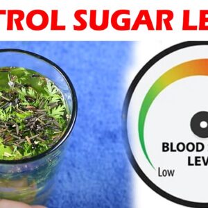 Control Sugar Levels | Best Diabetic Drink | Best Health Tips | Free Diabetes