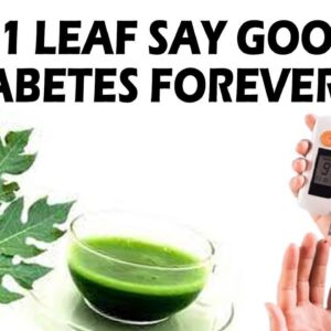 Only 1 Leaf To Control Diabetes   Health Tips   Best Home Remedies  freediabetes