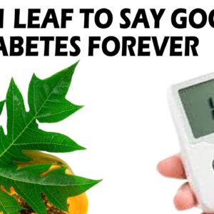 Only 1 Leaf To Control Diabetes | Health Tips | Best Home Remedies | Free Diabetes