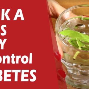 Best Drink To Body Sugar Balance | Free Diabetes
