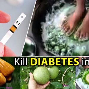 How to Control  Diabetes Permanently At Home || Health Tips | Free Diabetes