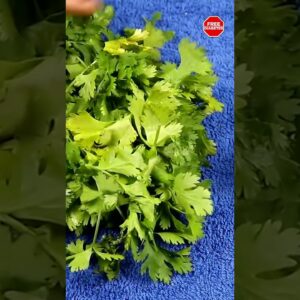 Best Simple remedy for faster hair growth and stop hair fall | #Shorts Free Diabetes