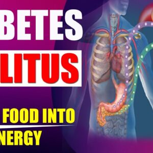 diabetes mellitus ( Type 1 Diabetes, Type 2 Diabetes ) Diagnosis and treatment | Free Diabetes