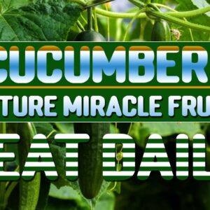 Start Eating a Cucumber a Day, See What Happens to Your Body | Free Diabetes