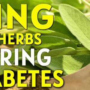 Anti - Diabetes Herbs That Can Help Control Blood Sugar Levels |  Best Diet Tips | Free Diabetes