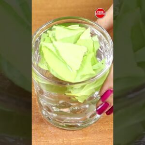 Only 1 Leaf To Control Diabetes Permanently | #shorts | Free Diabetes