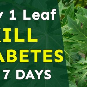 How to Control Diabetes Permanently | Controls Blood Sugar Levels | Papaya Fruit | Free Diabetes