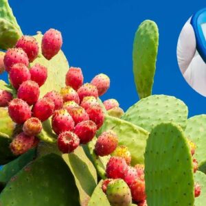 Best Diabetes Control Tips | Diet You Can Follow Forever | Reverse Diabetes | Free Diabetes