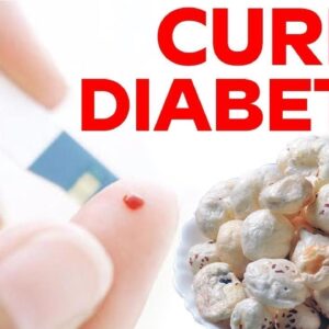 Controlling Diabetes | Lotus Seeds Can Help Manage and Control Diabetes