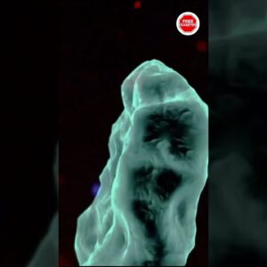 Are Apples Good for Diabetes Patients? How Many Apples Can You Eat in a Day? | Free Diabetes