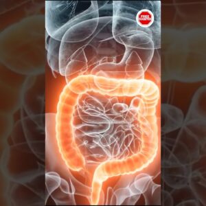How to poop fast when constipated and constipation remedies | Natural Home Remedies