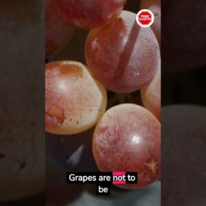 Top 6 Fruits Every Diabetic Can Eat (Don't Spike Blood Sugar) | Fruits For Diabetes | Free Diabetes