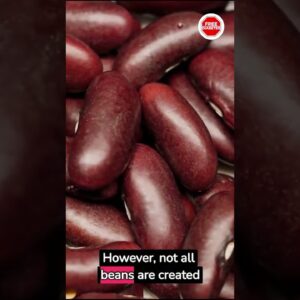 Are Beans High in Carbs? Diabetic Diet Essentials! | How Does Beans Affect Diabetics