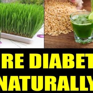 Best Grass To Cure Diabetes | Cure Diabetes Naturally |WHEAT GRASS JUICE AND DIABETES| Free Diabetes