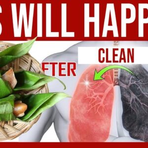 Betel Leaf Health Benefits - Dr. Goutham Kumar | This Will Happens Your Body