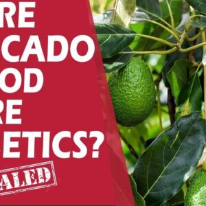 Is Avocado Good for Diabetes? | Can Diabetics Eat Avocado? | Benefits of Avocado | Free Diabetes