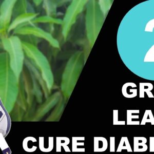 Only 2 Green Leaves cure Diabetes In Just 7 Days | Free Diabetes | Health tips| Free Diabetes