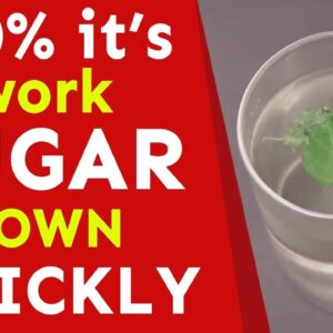 Say Good Bye To Diabetes | Best Diabetes Tips | Health Tips | Free Diabetes