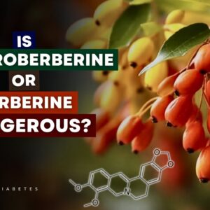 Is Dihydroberberine or Berberine Dangerous? (Side Effects)